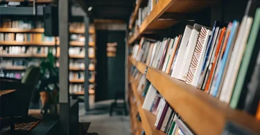 Quick Reading Summaries